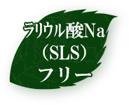 ラリウル酸Na（SLS）フリー