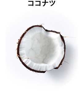 ココナツ