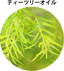 ティーツリーオイル