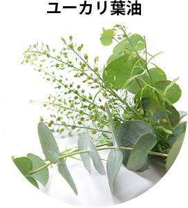 ユーカリ葉油