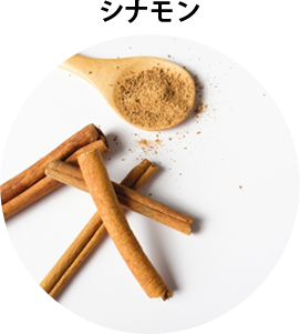 シナモン